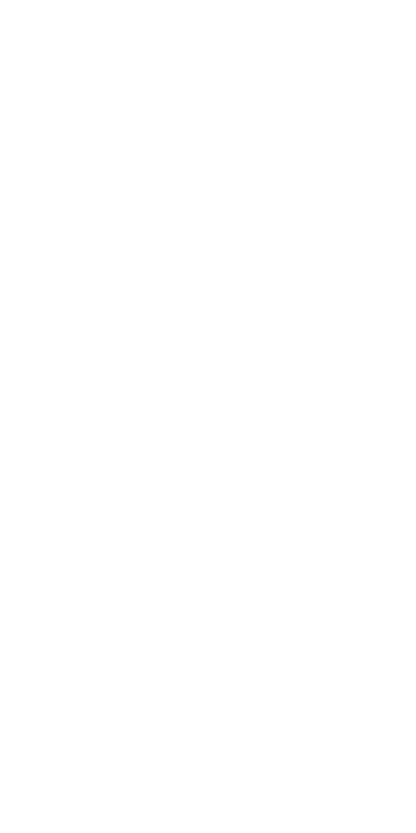 Knight Witch Emblem